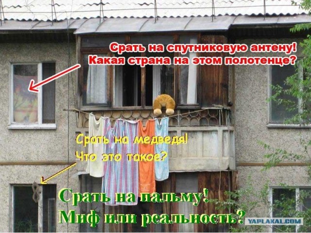 Конкурс: подпись к картинке