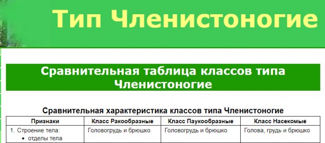 Солдатик: Не-на-ви-жу! Почему их так много? Мерзкие дачные клопы и их вред