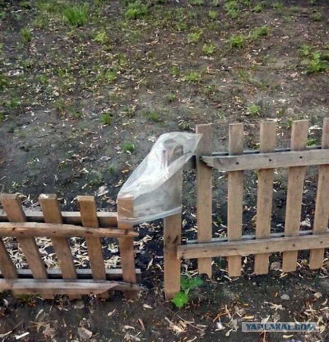 Голь на выдумку хитра