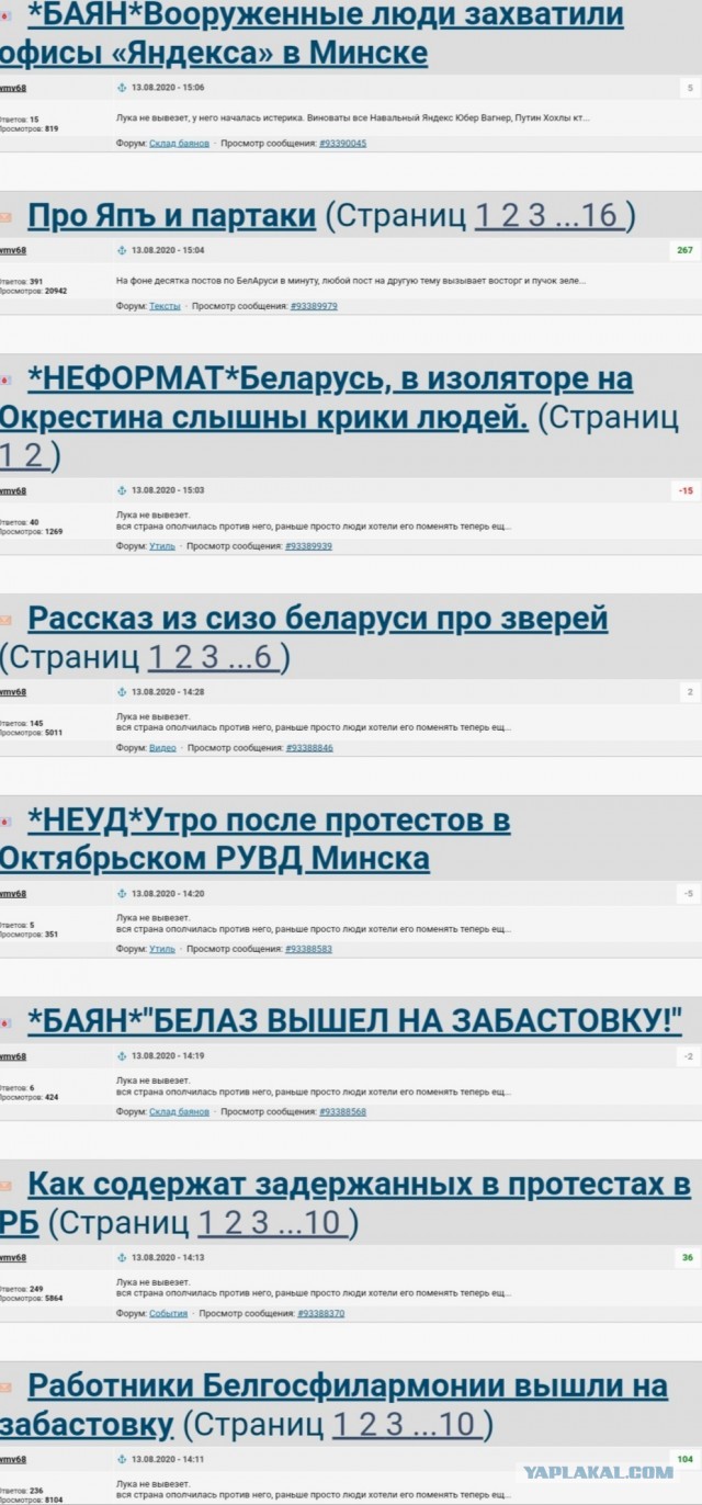 Рассказ из сизо беларуси про зверей