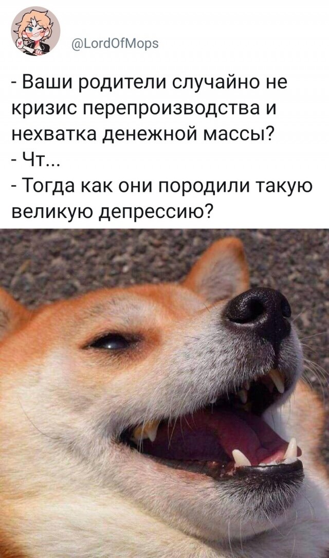 Немного картинок в пятницу