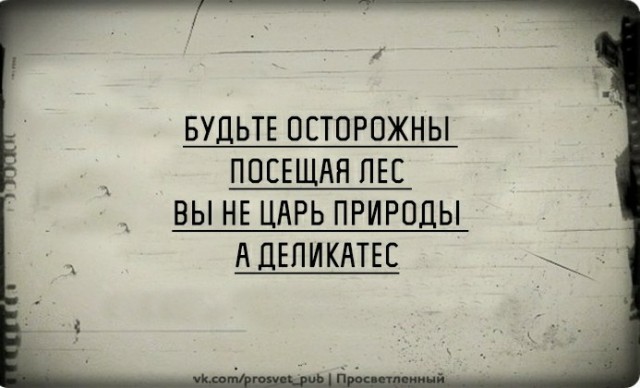 Бредзона 22.12.20