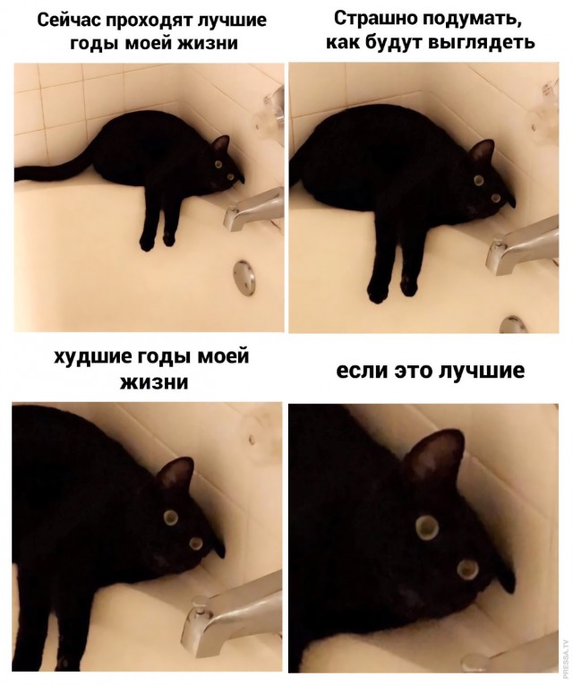 Картинки и мемы для настроения 024