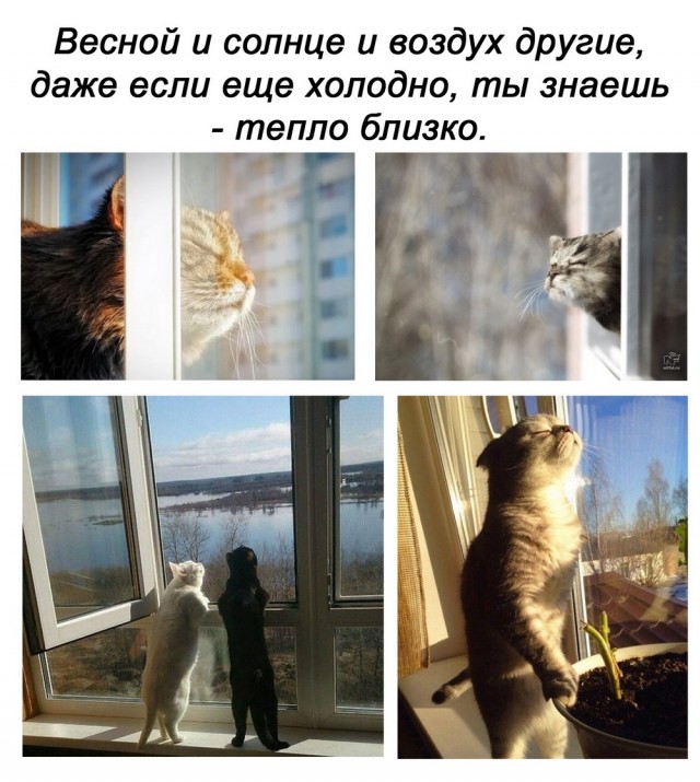 Кретинизмы из сети 01.03.21