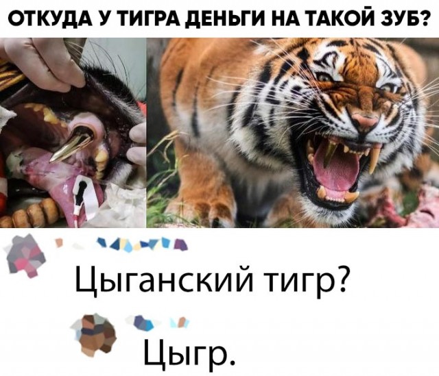 Всякая всячина