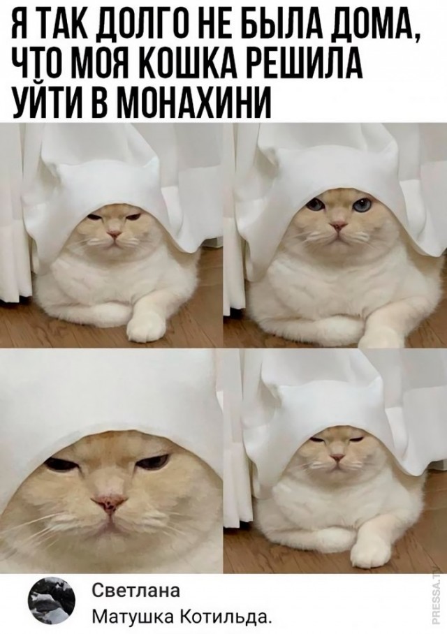 Картинки и мемы для настроения 024