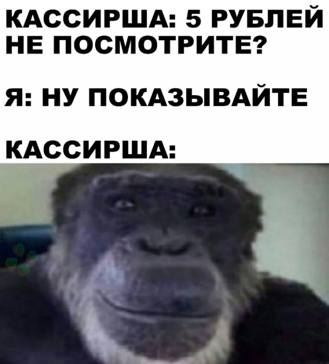 Весёлый полтишок 23.05
