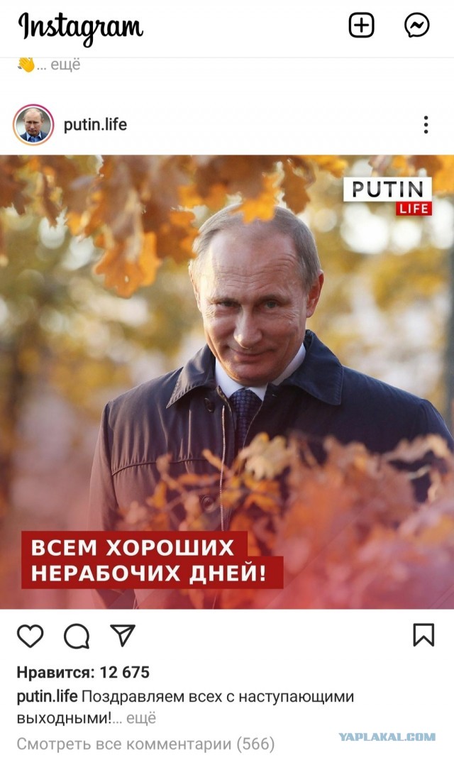 Картинки и мемы, всем прекрасных выходных