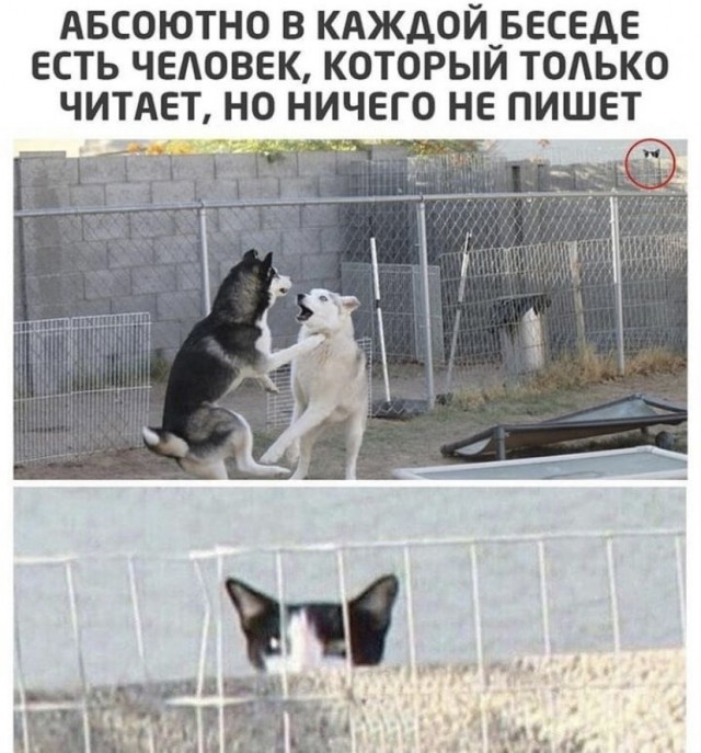 Так себе картинки 15.11.21
