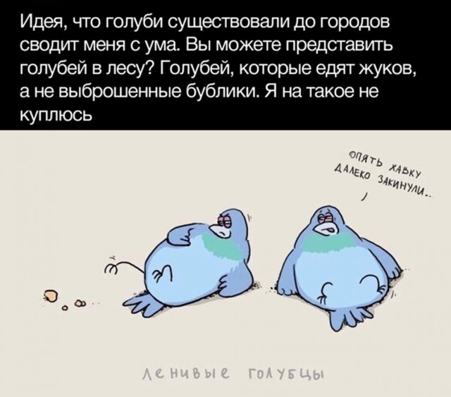 Чуток картинок 04.03.22