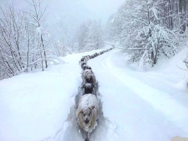 Картинки и мемы, всем хороших выходных