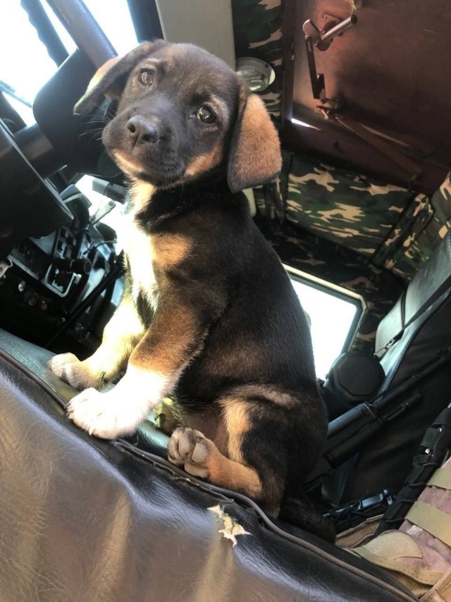 Новый боец