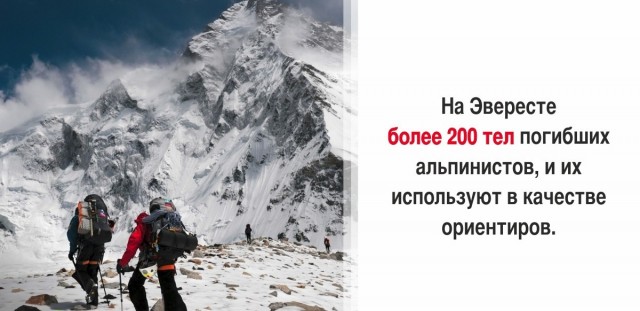 30 суровых фактов, которые пугают больше, чем фильмы ужасов