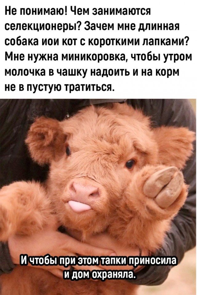 Так себе картинки 07.01.2023