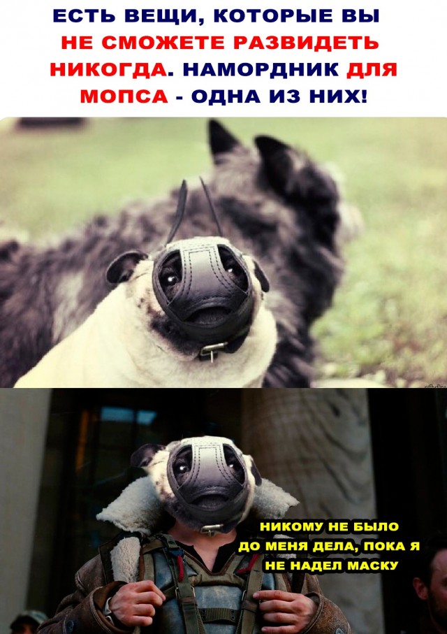 Немного картинок для настроения/постпраздничное