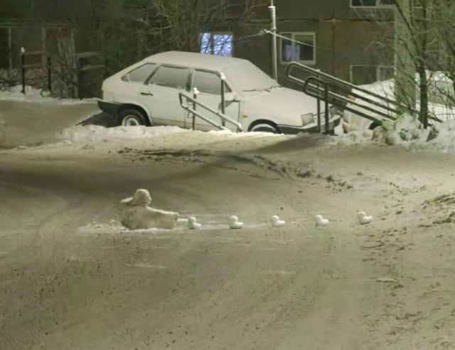 Чуток картинок 22.01.23