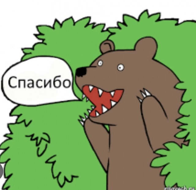 "Освободили мишутку"
