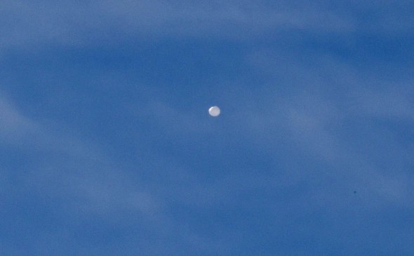 В США допустили инопланетное происхождение сбитых над страной объектов