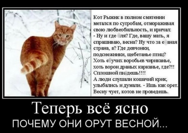 Победная поступь идиотизма по планете – том 9