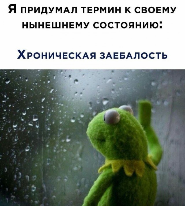Всего понемногу. От 15.03.23