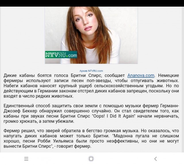 Как не огрести от медведя: 5 основных правил