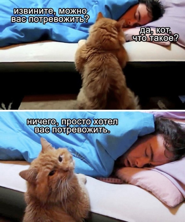 Немного картинок для настроения - 161