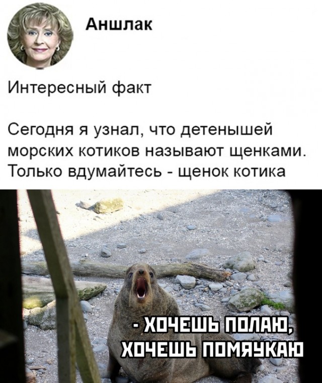Картинки и мемы для настроения - 167