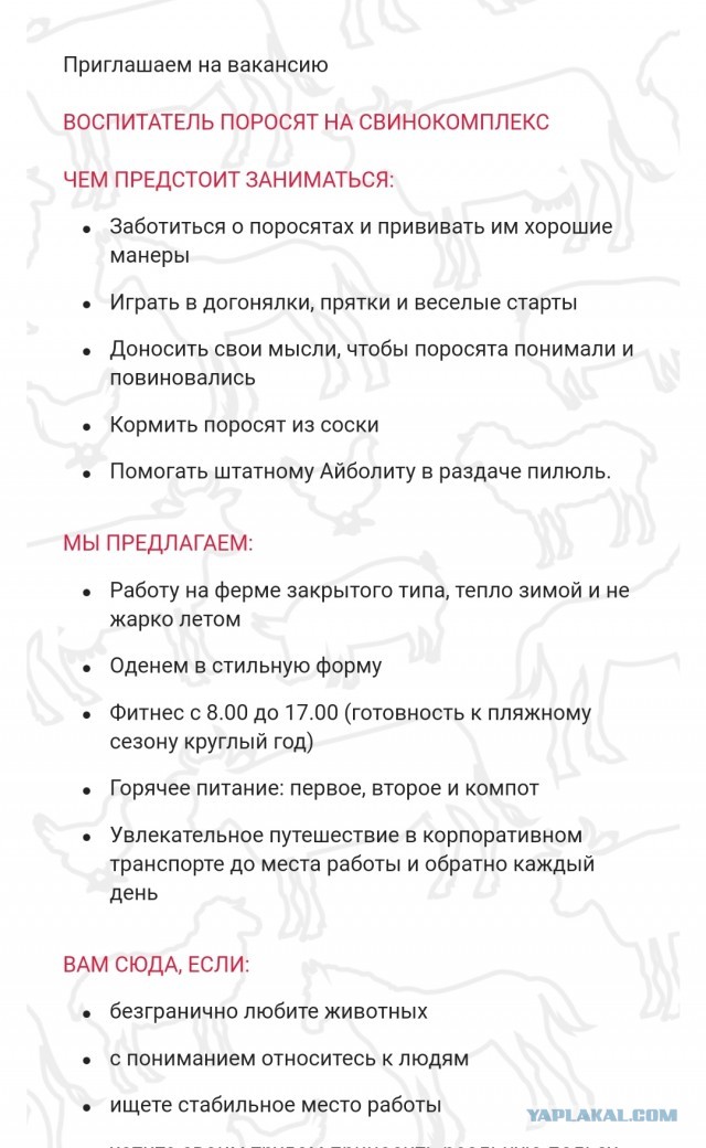 Победная поступь идиотизма по планете – том 14