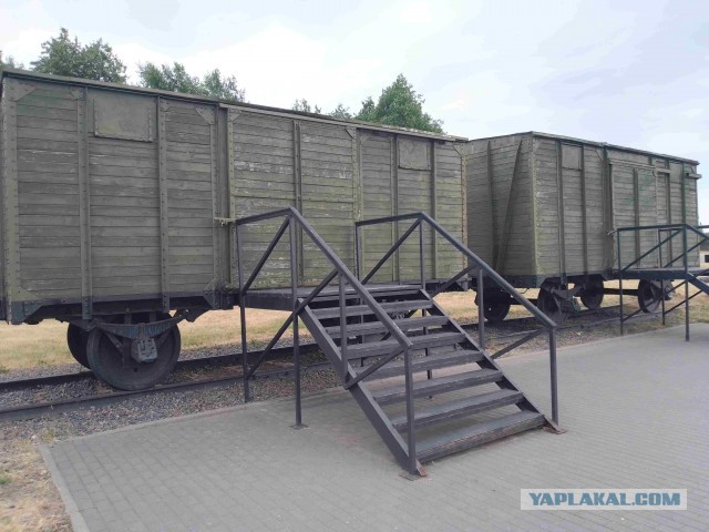 Беларусь. Июнь 2023