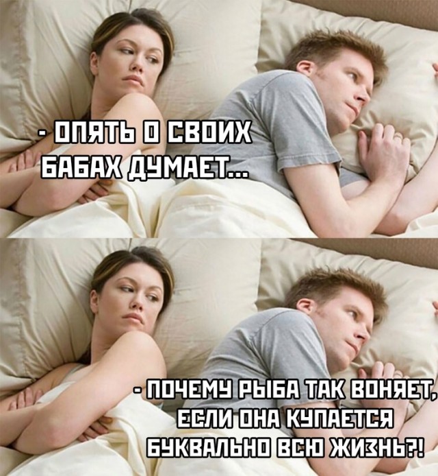 Весёлый полтишок 04.08.23