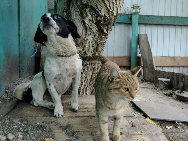 Маруся и Бим