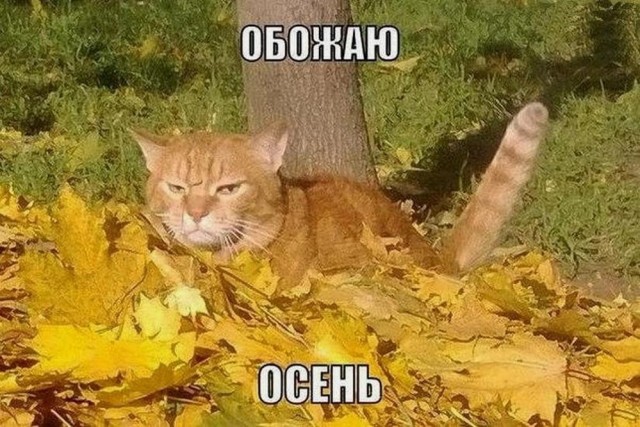 Недопятница 4.10.23