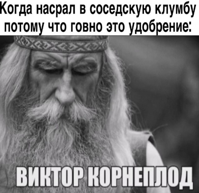 Всего понемногу. От 09.10.23