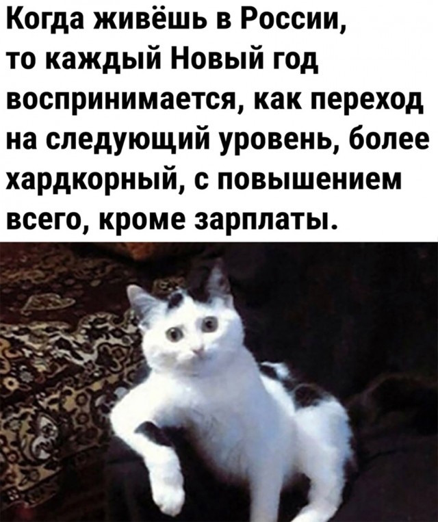 Так себе картинки 27.12.23
