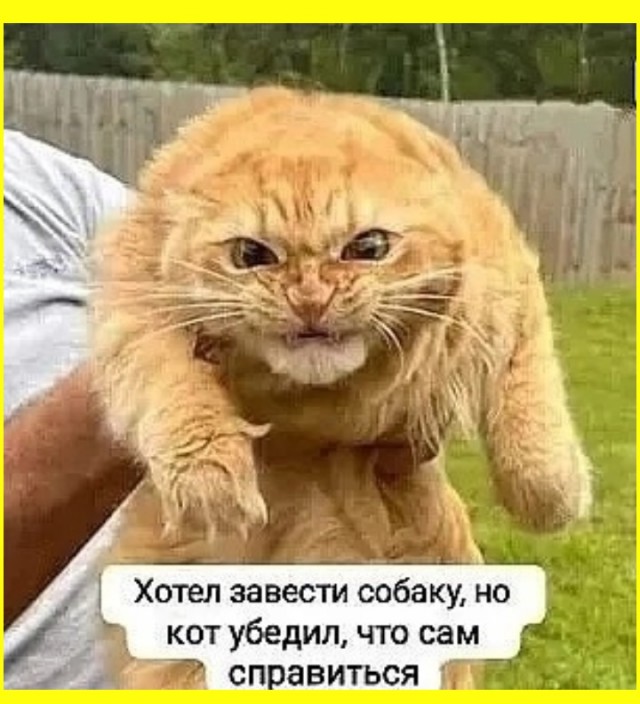 Тлидцать тли от 11 маЛта