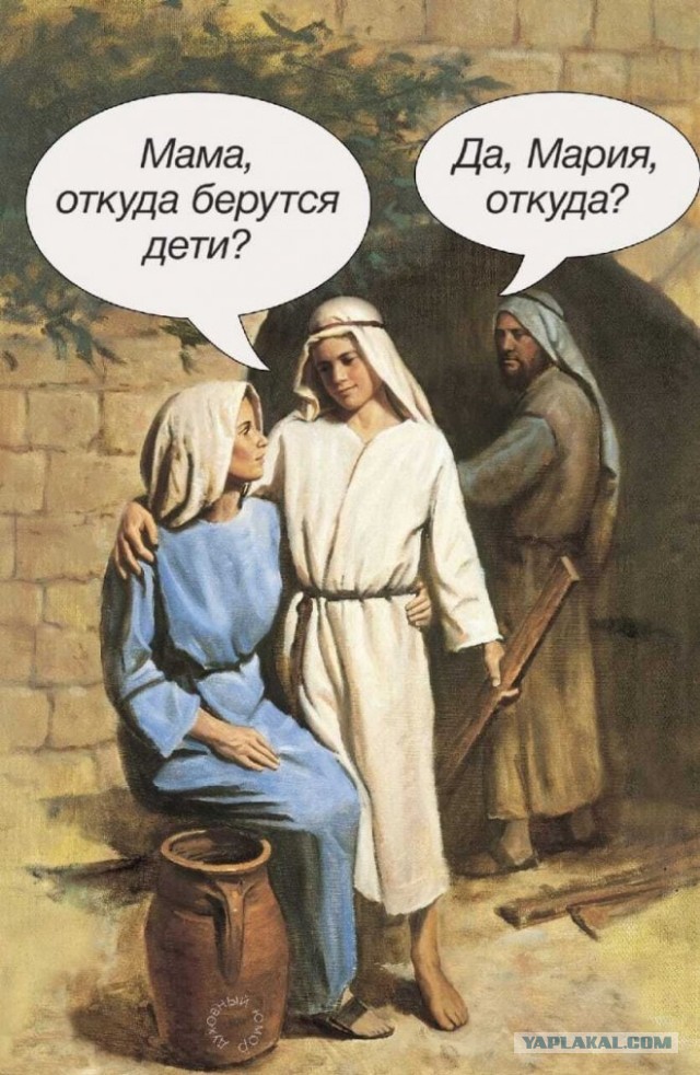 20-летнюю беременную девушку арестовали за секс с немецкой овчаркой