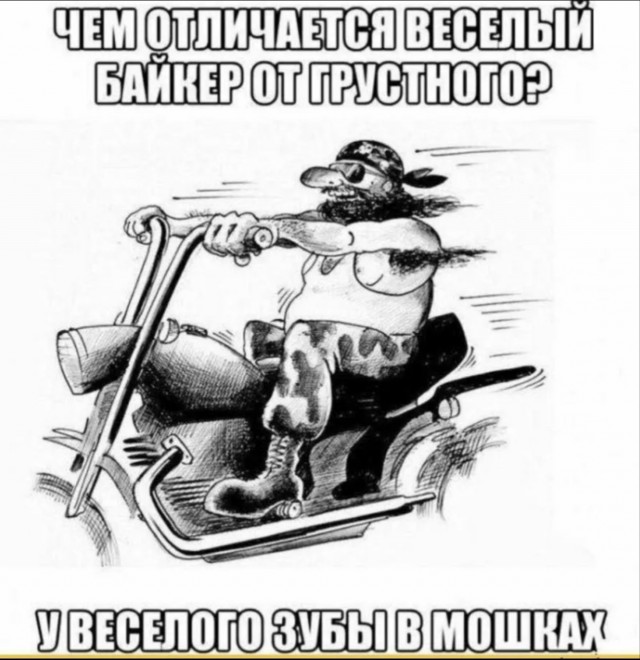 Как стрижи летают по 10 месяцев без приземления и не умирают