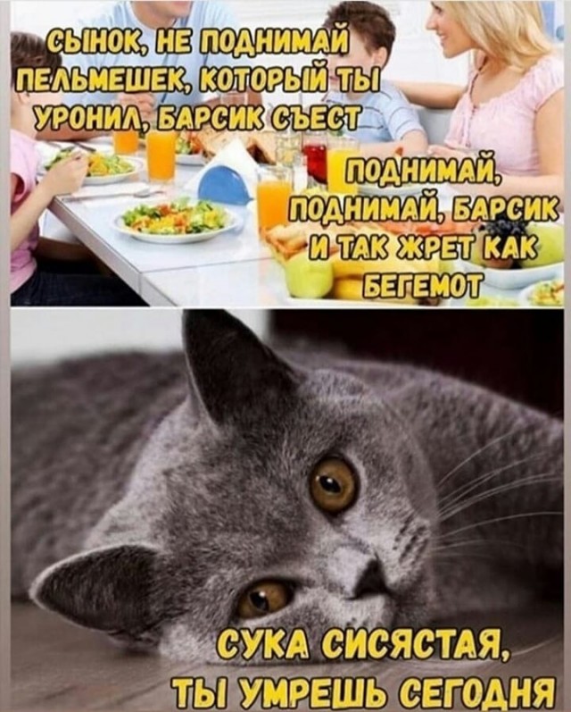 Никакие картинки