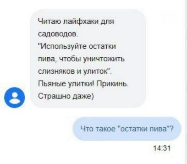 45 пятничных картинок 28.06.2024