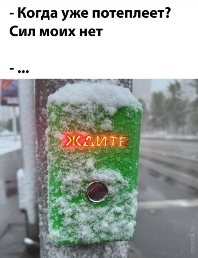 Веселые картинки в понедельник (24.02)