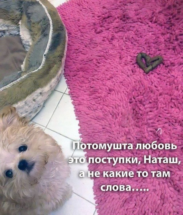 Так себе картинки 19.03.25