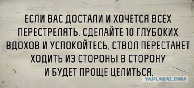 Веселые картинки