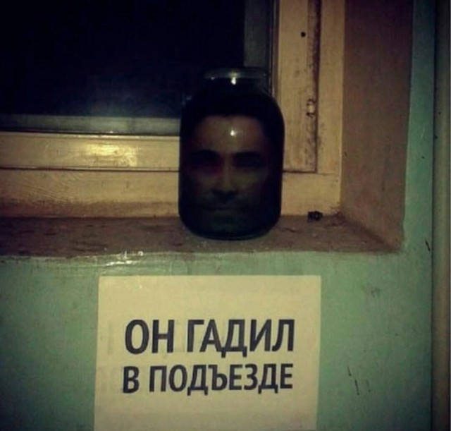 Юмор в буквах за день и шесть ног