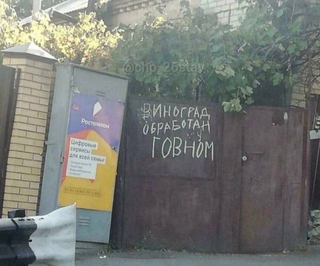 Так себе картинки 04.06.25