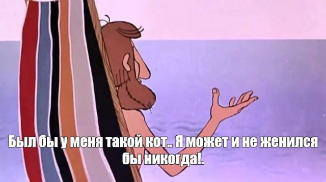 Ну и кто теперь посмеет сказать, что от котов пользы нет?