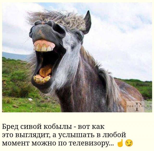 Мало кто знает, но заказ на ТЦК в Кременчуге реально был принят Сталинскими Соколами