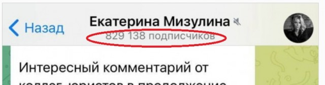 Россиян смогут оштрафовать за поиск песни «Я русский» Шамана — материал с таким названием есть в списке экстремистских, заявила Мизулина