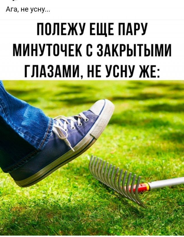 Картинки для деградации 62 (разной степени свежести)