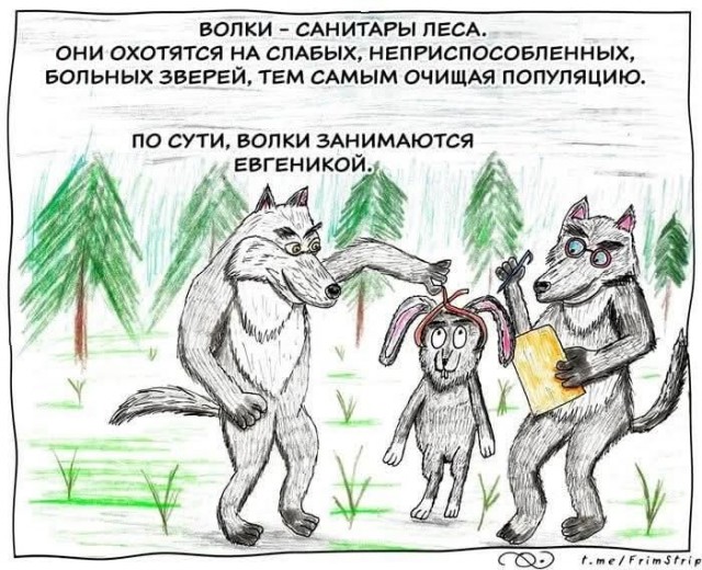 Маленькая пятница 5.11