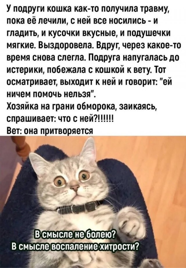 Пятницы картинки